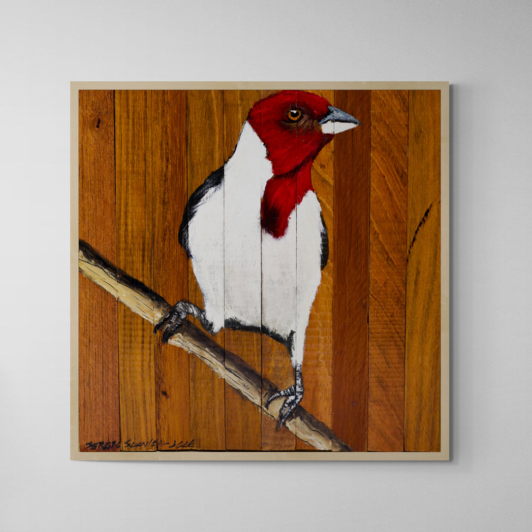Quadro Decorativo Pássaro Galo de Campina 05 30 X 30 cm
