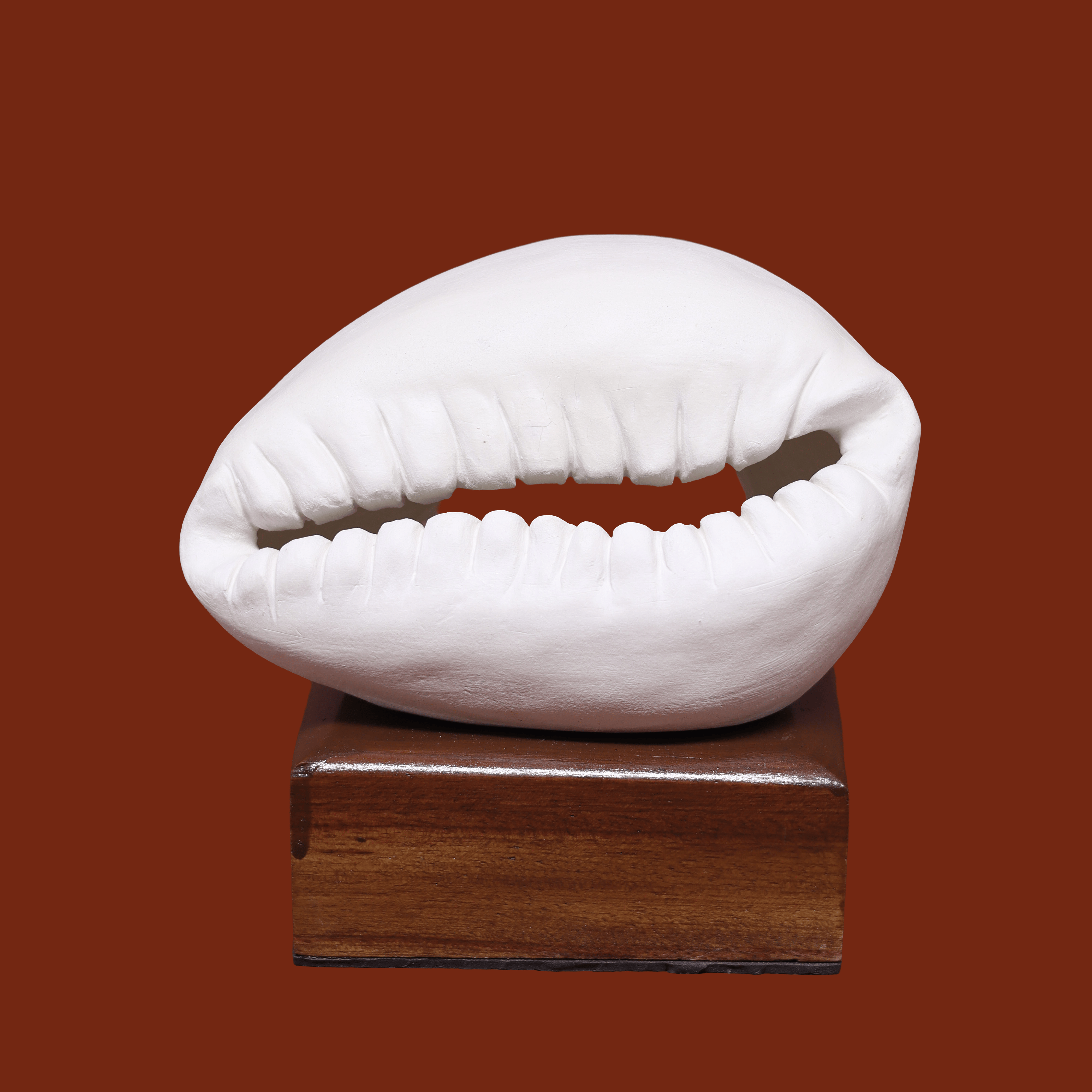Escultura Búzio Deitado em Cerâmica