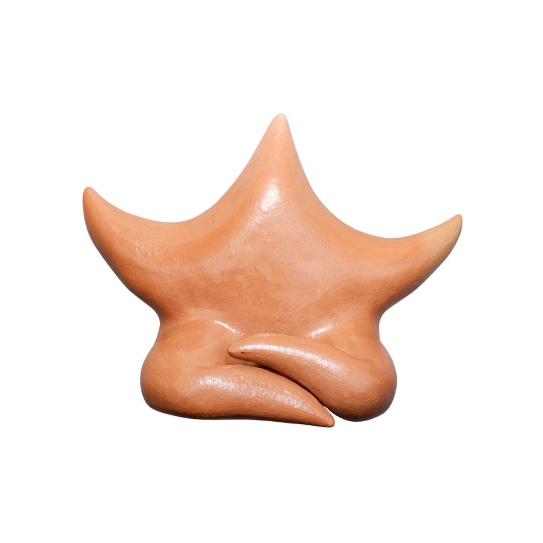Escultura Estrela de Parede