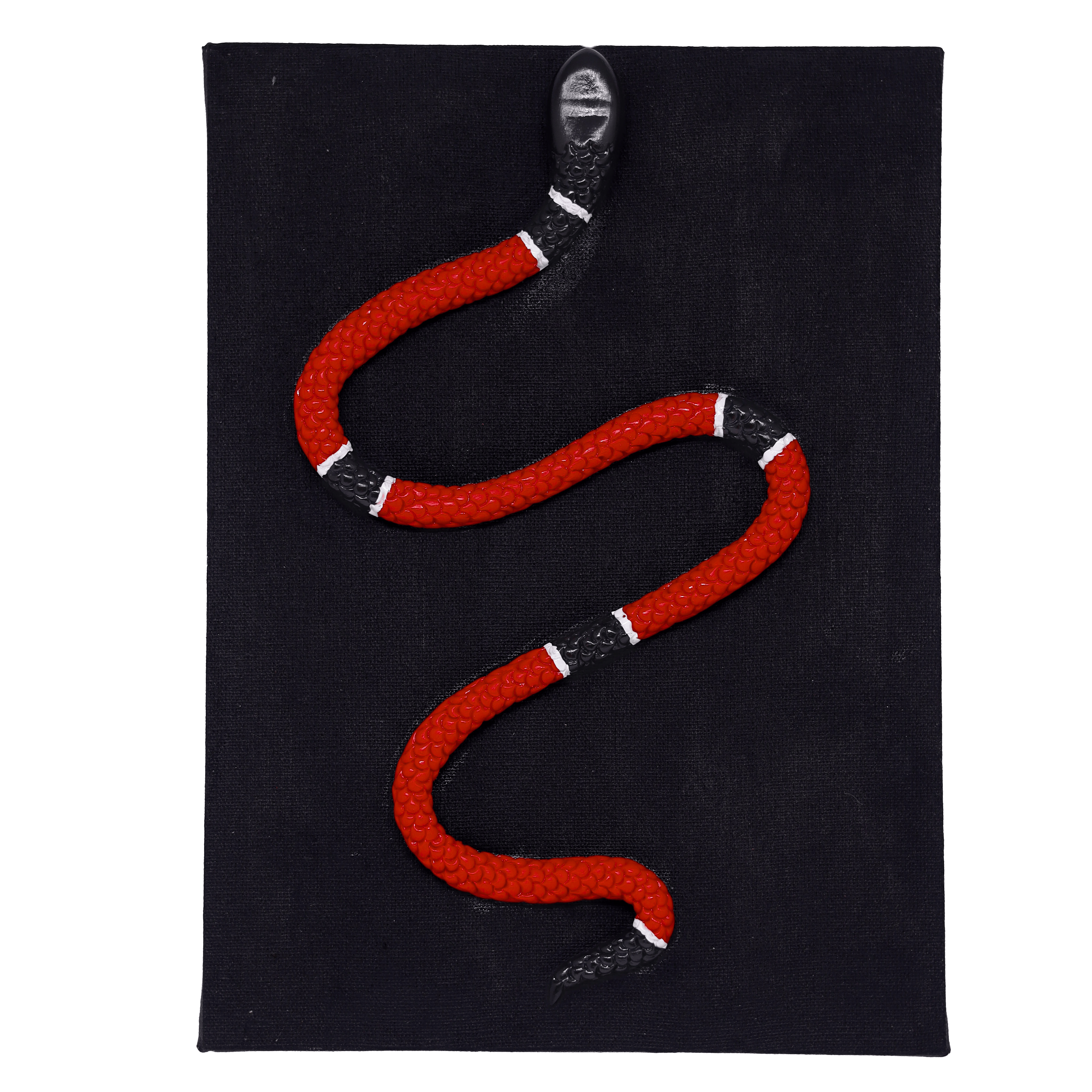 Quadro Cobra Coral