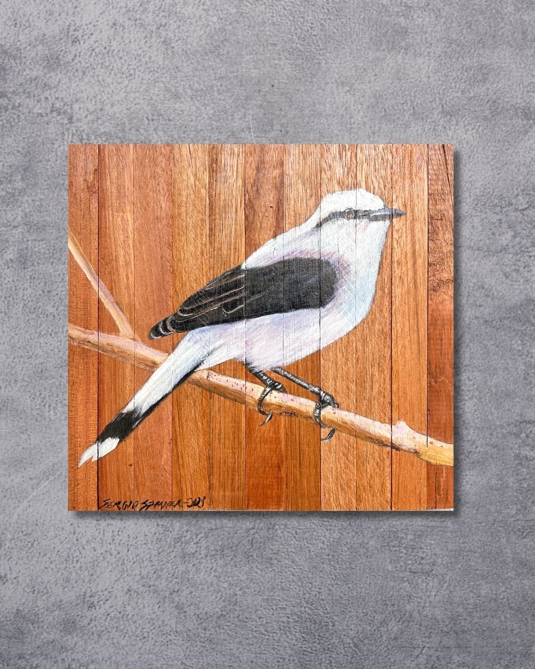 Quadro Decorativo Pássaro Andorinha 30 X 30 cm