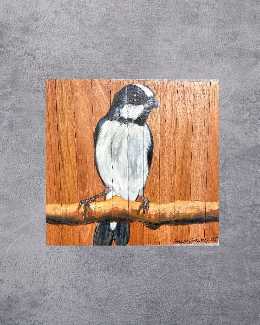 Quadro Decorativo Pássaro Bigodinho 30 X 30 cm