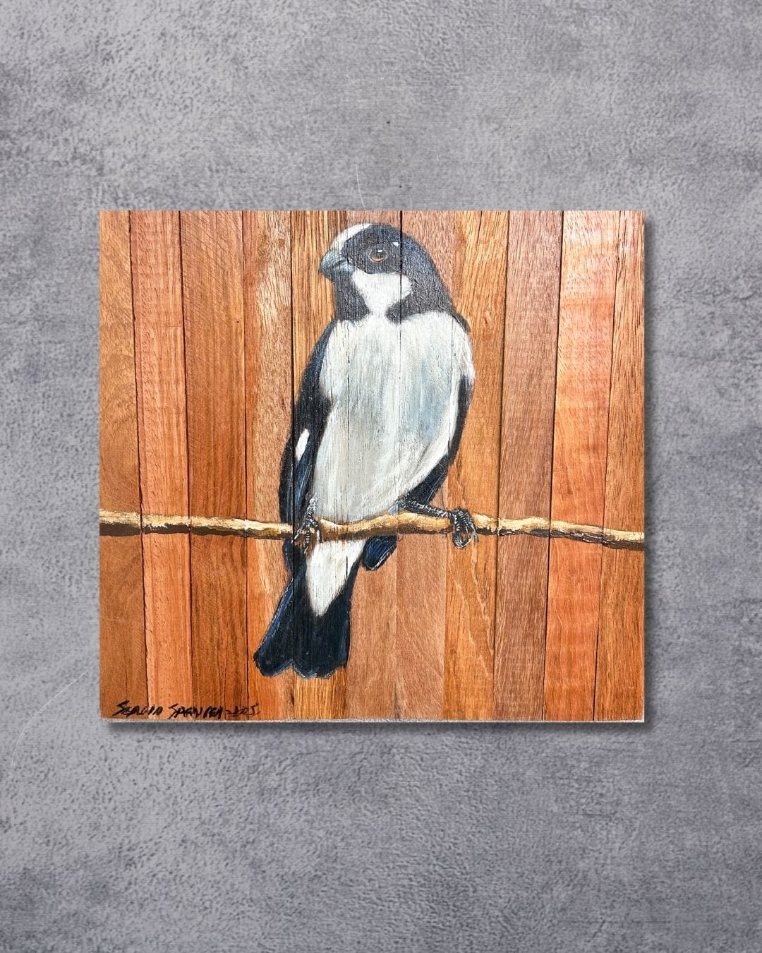 Quadro Decorativo Pássaro Bigodinho 30 X 30 cm