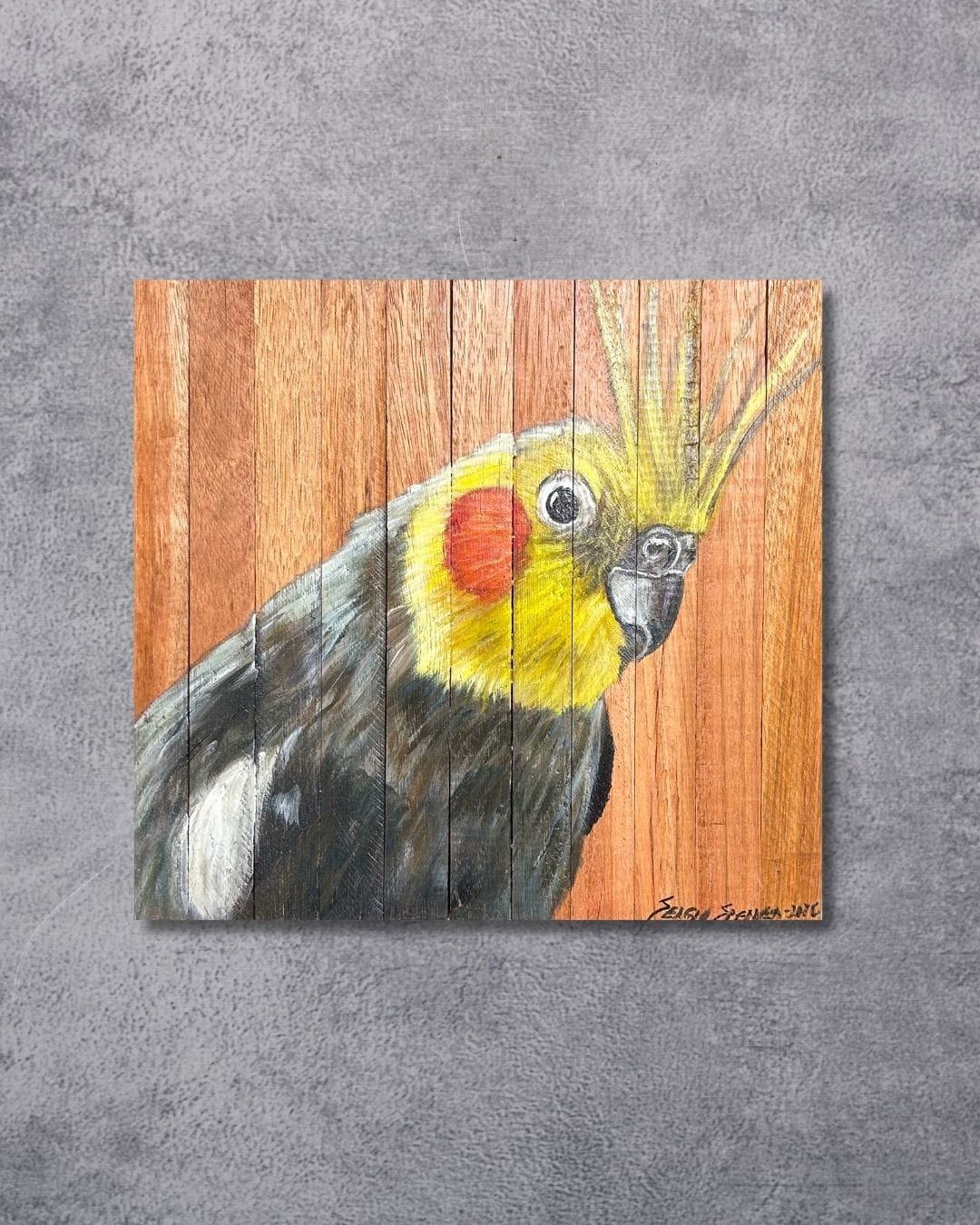 Quadro Decorativo Pássaro Calopsita 30 X 30 cm