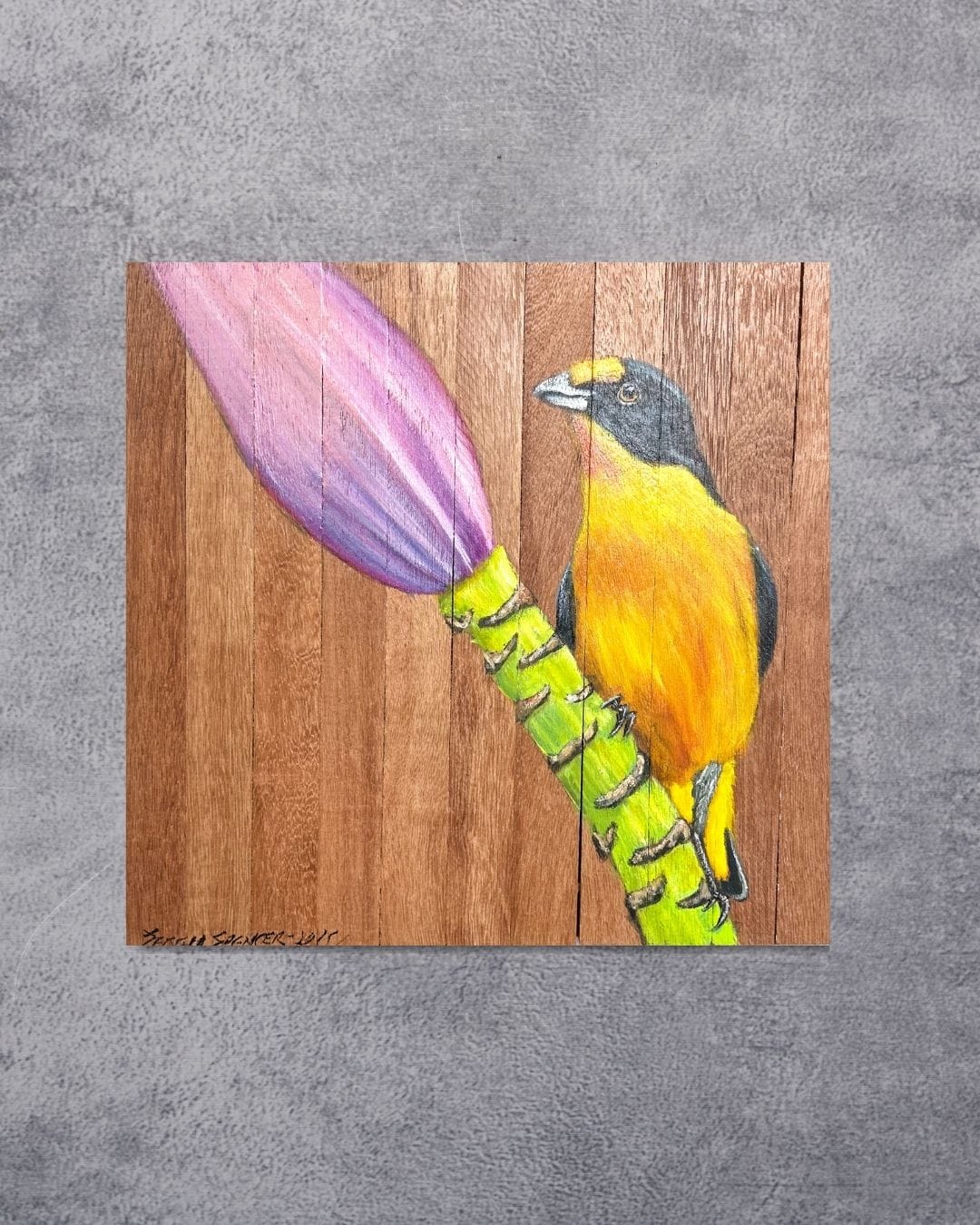 Quadro Decorativo Pássaro Guriatã de Bananeira 30 X 30 cm