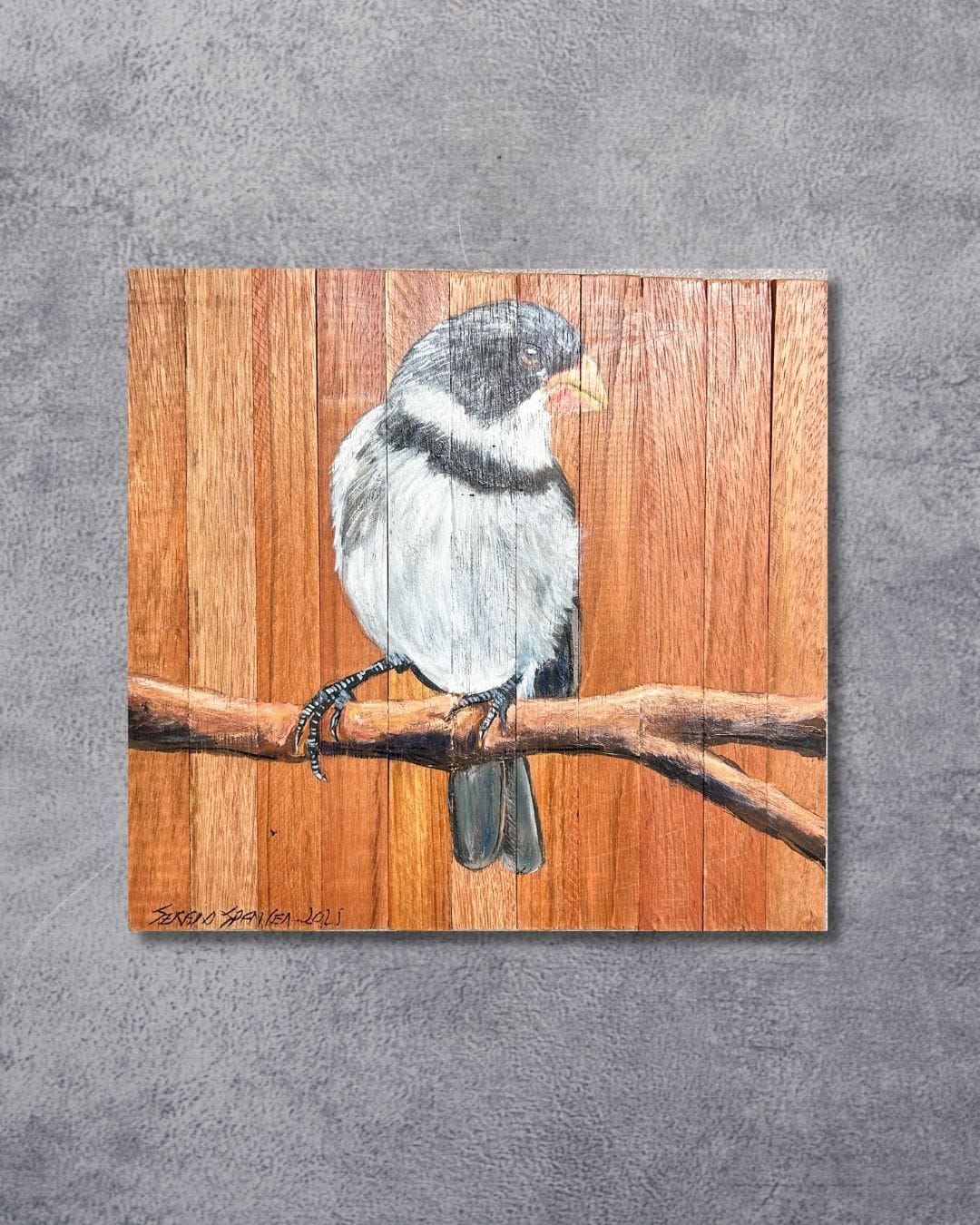 Quadro Decorativo Pássaro Patativa Golada 30 X 30 cm