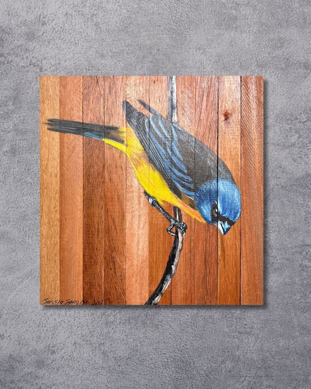 Quadro Decorativo Pássaro Sanhaço Papo Laranja 30 X 30 cm