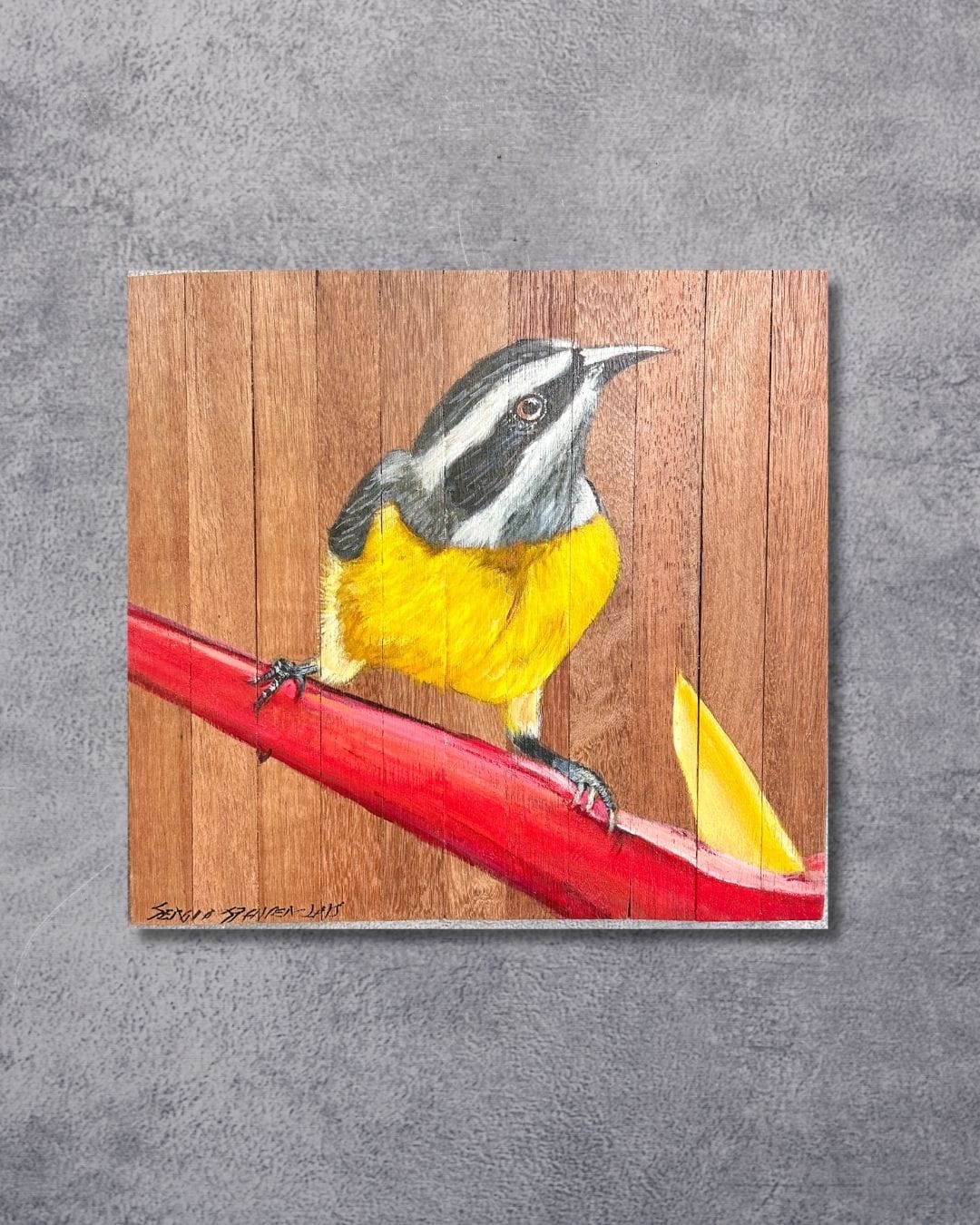 Quadro Decorativo Pássaro Sibite 30 X 30 cm