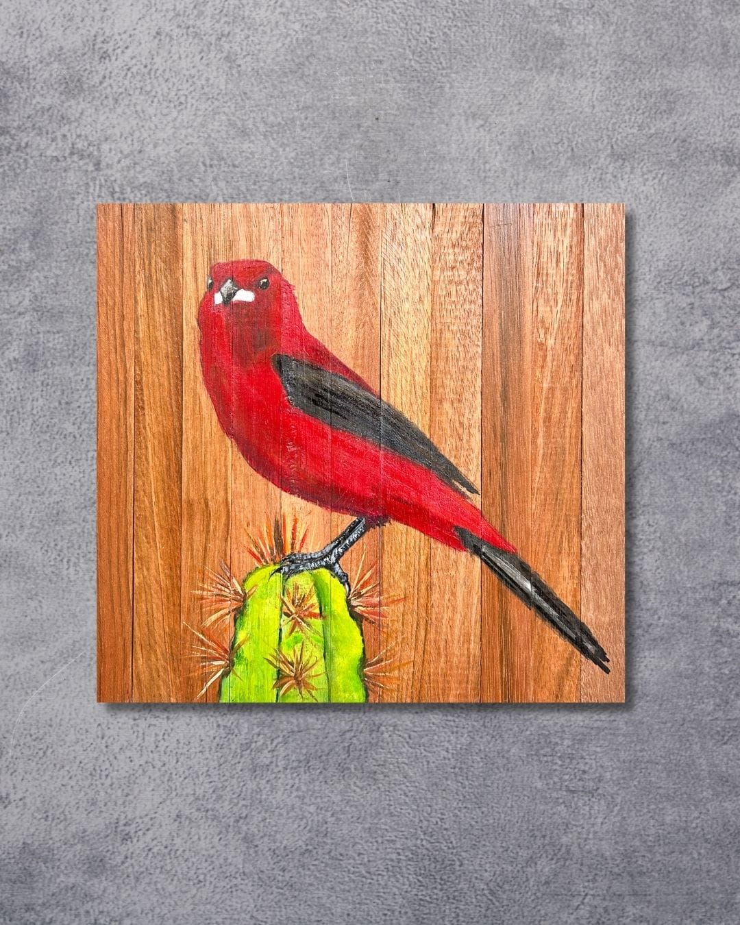 Quadro Decorativo Pássaro TIê-Sangue 30 X 30 cm