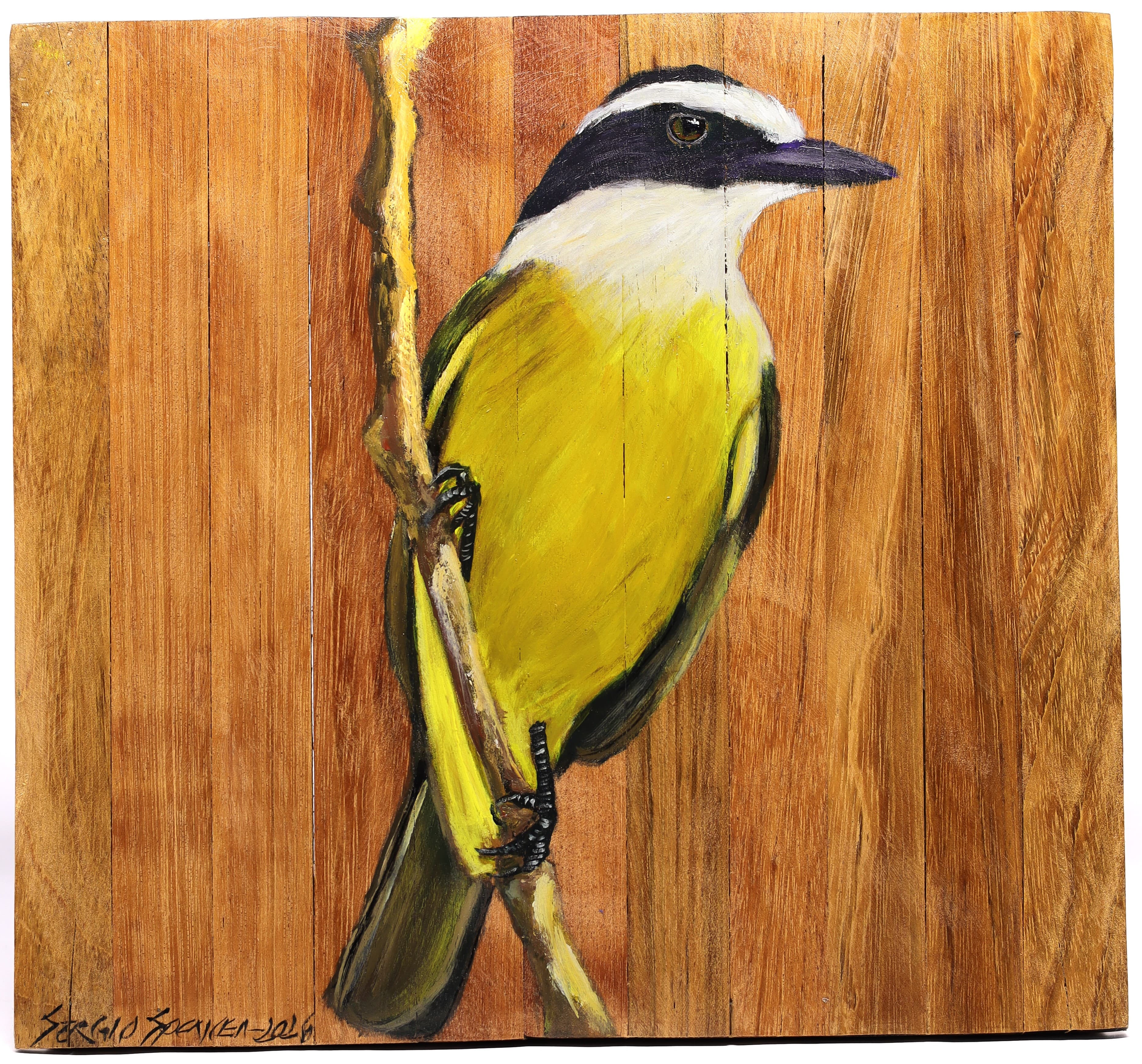 Quadro Decorativo Pássaro Bem Te Vi 30 X 30 cm