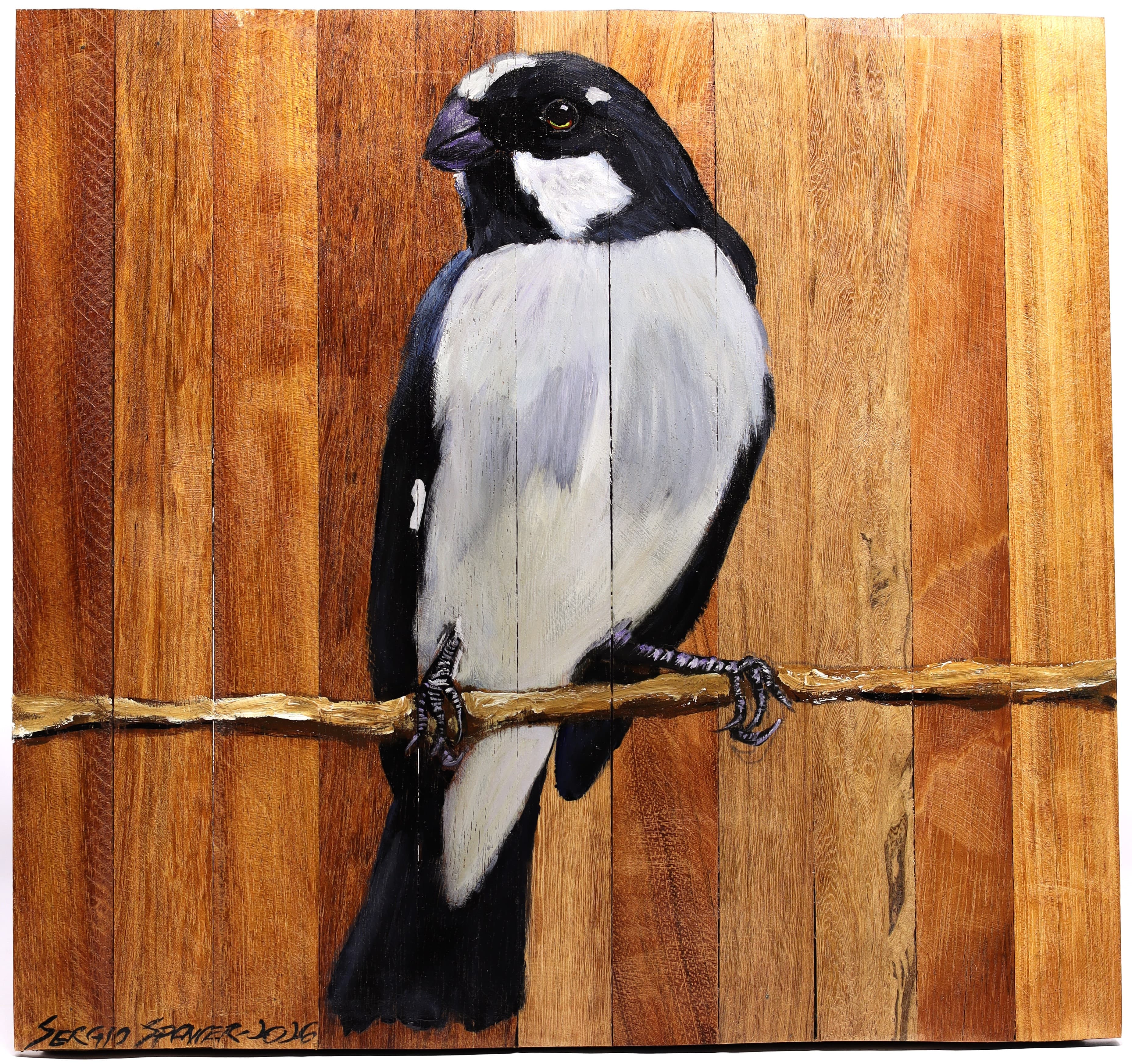 Quadro Decorativo Pássaro Bigodinho 30 X 30 cm