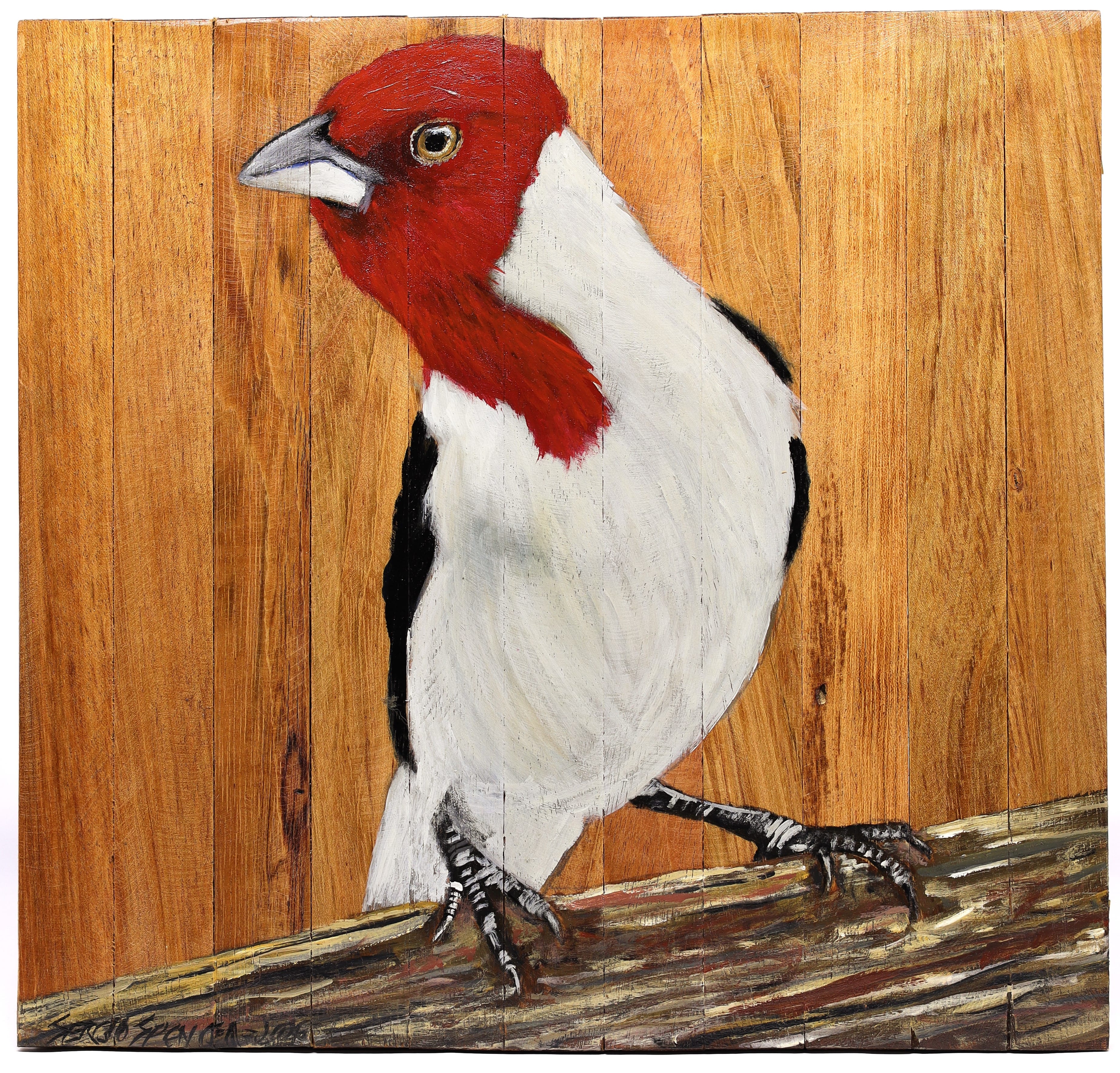 Quadro Decorativo Pássaro Galo de Campina 02 30 X 30 cm