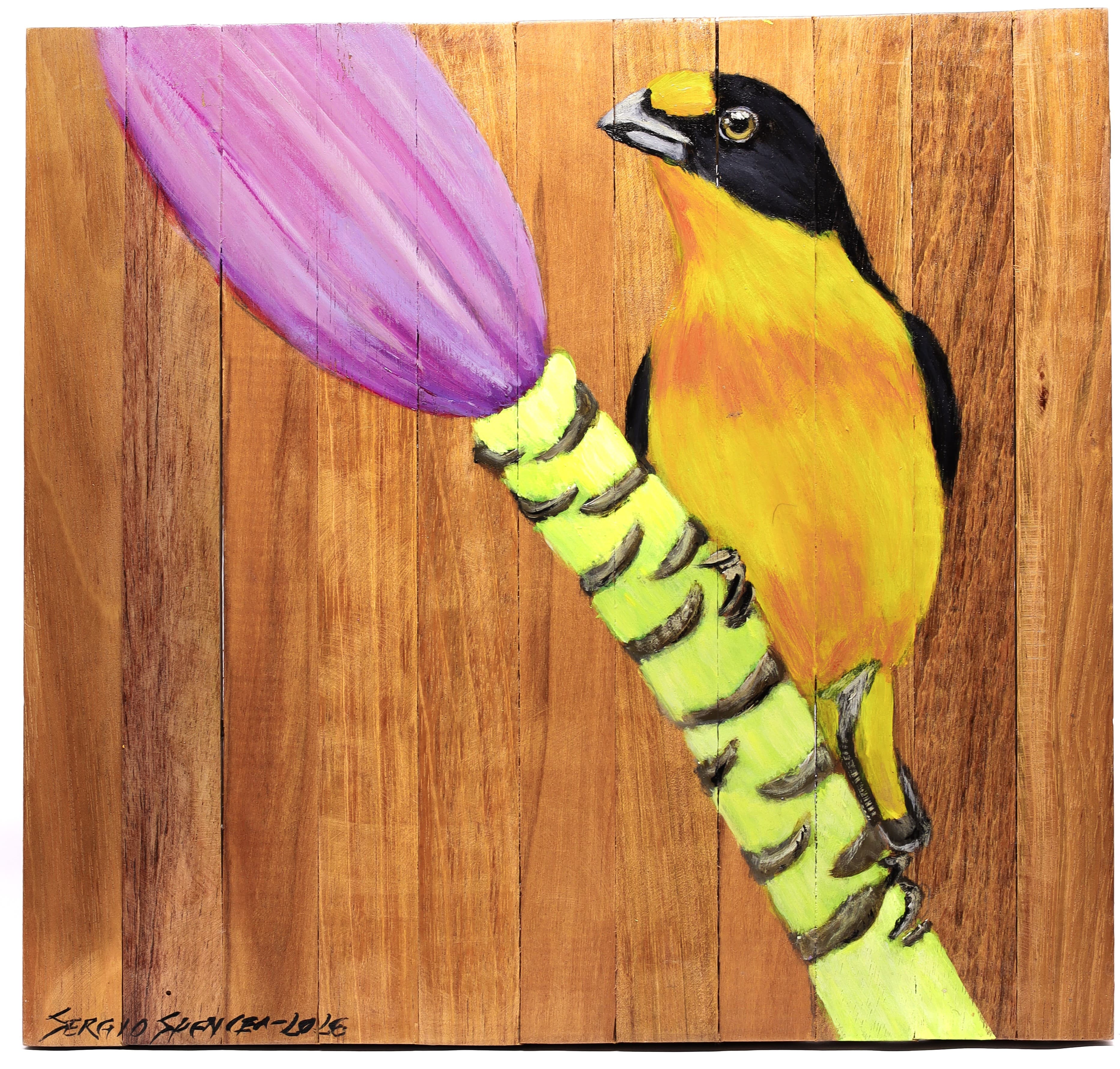 Quadro Decorativo Pássaro Guriatã Bananeira 30 X 30 cm