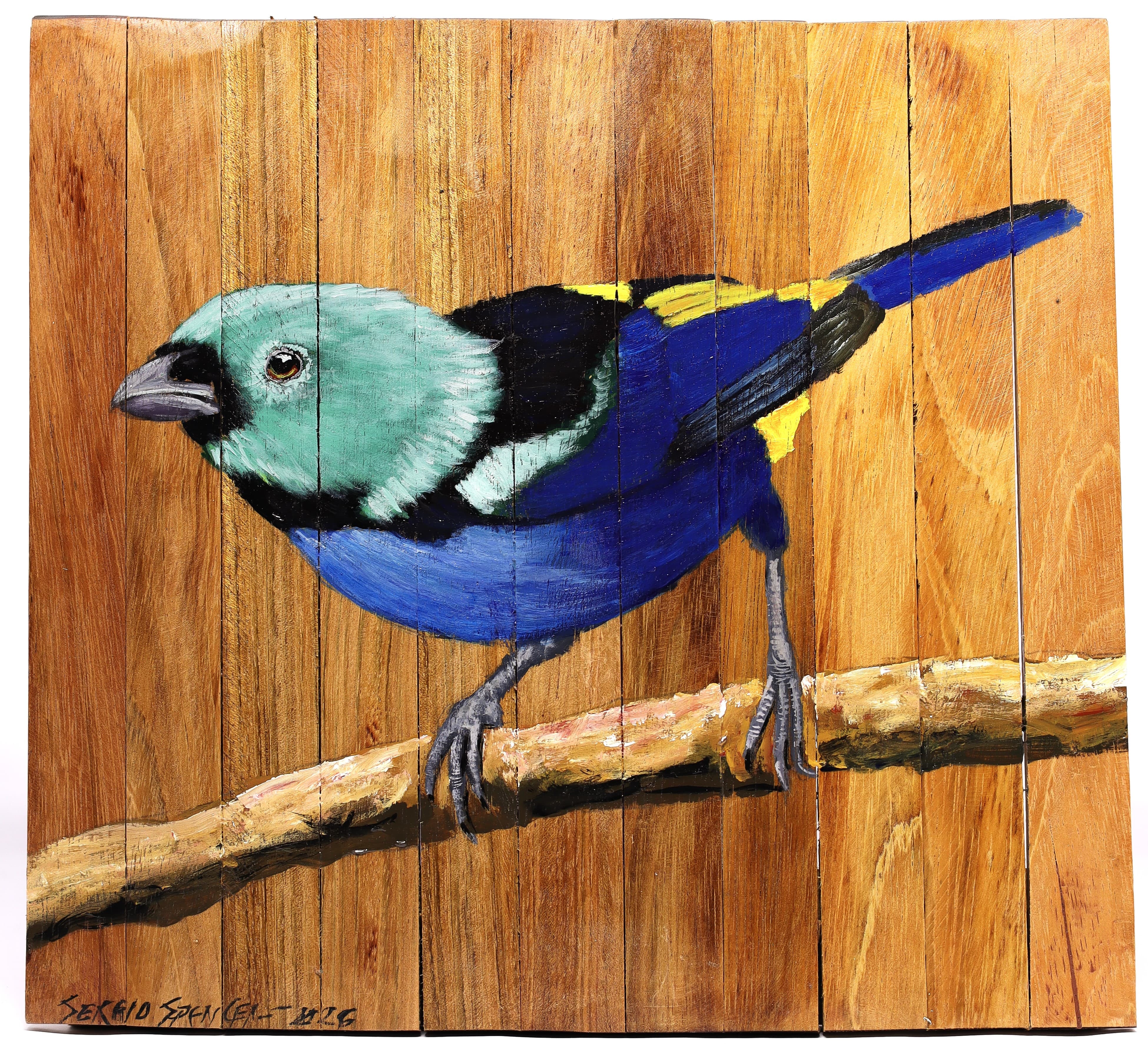 Quadro Decorativo Pássaro Pintor Verdadeiro 02 30 X 30 cm