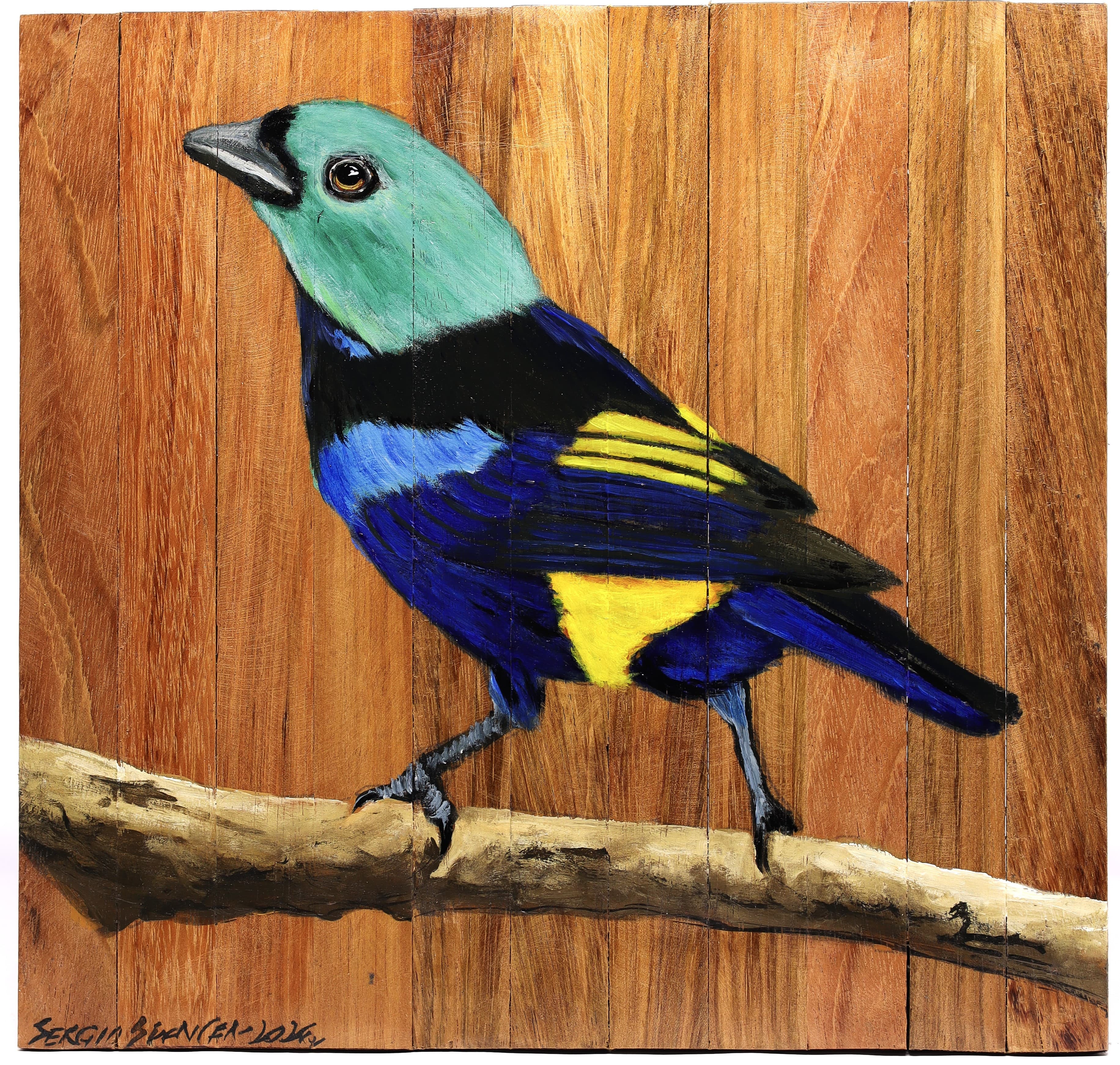 Quadro Decorativo Pássaro Pintor Verdadeiro 04 30 X 30 cm