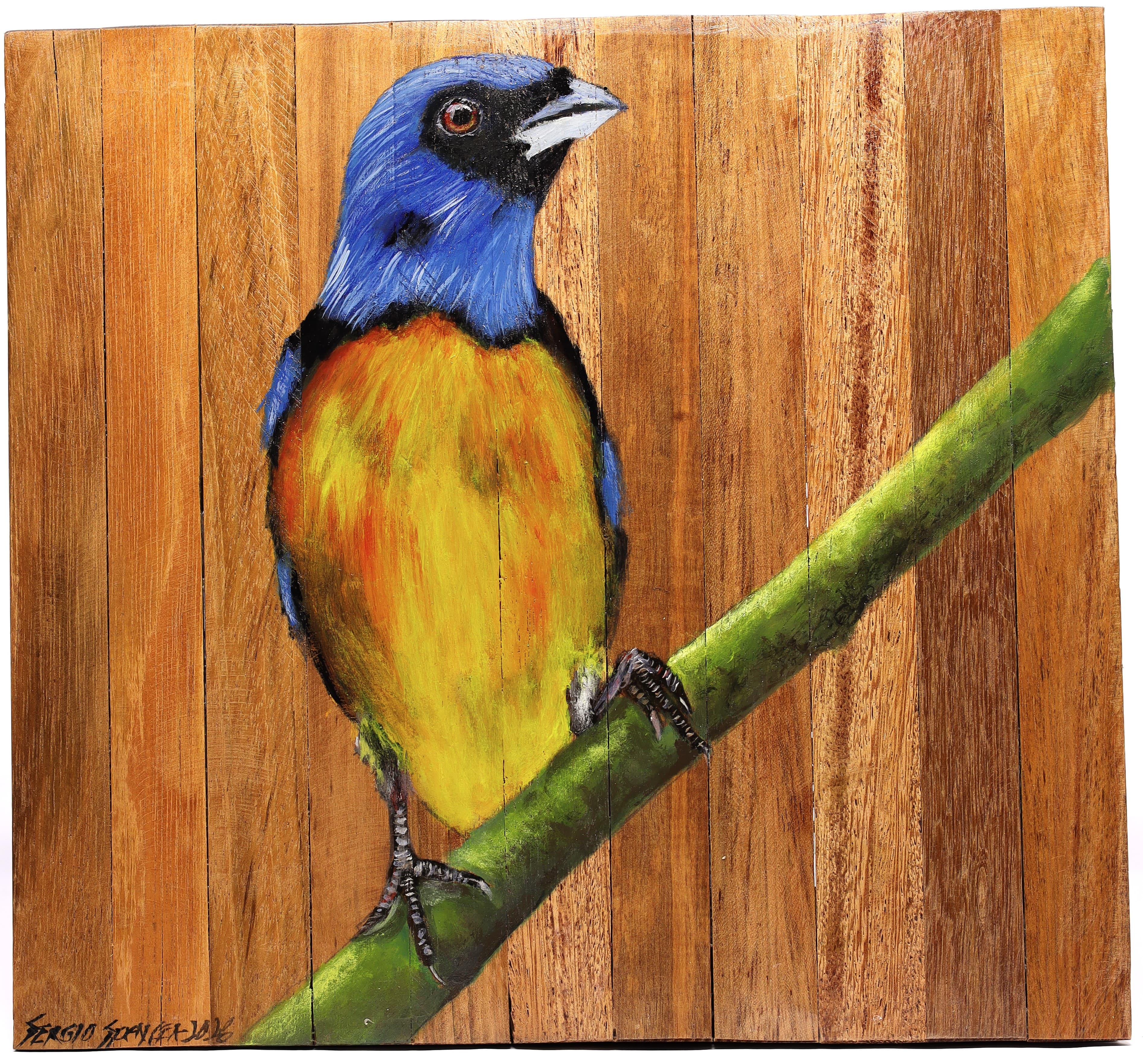 Quadro Decorativo Pássaro Sanhaço Papa Laranja 04 30 X 30 cm