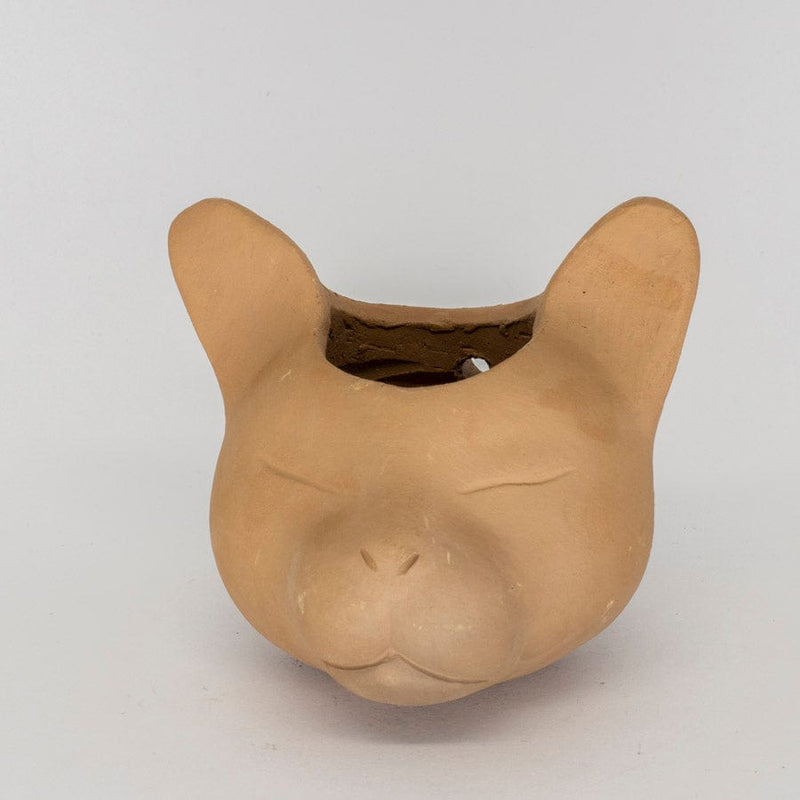 Vaso para Plantas Cabeça de Gato em Cerâmica