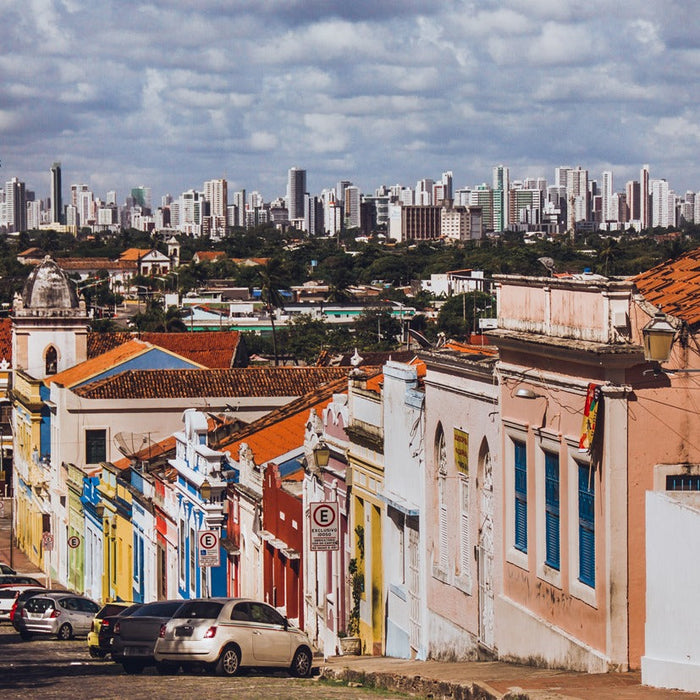 Artesanato Amazônico: A Magia dos Brinquedos de Miriti