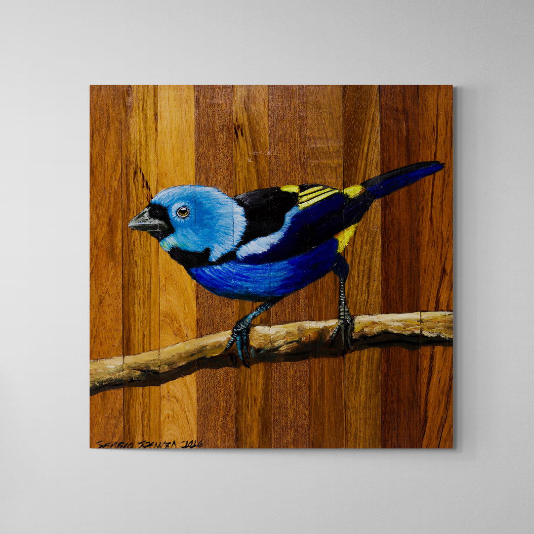 Quadro Decorativo Pássaro Pintor Verdadeiro 30 X 30 cm