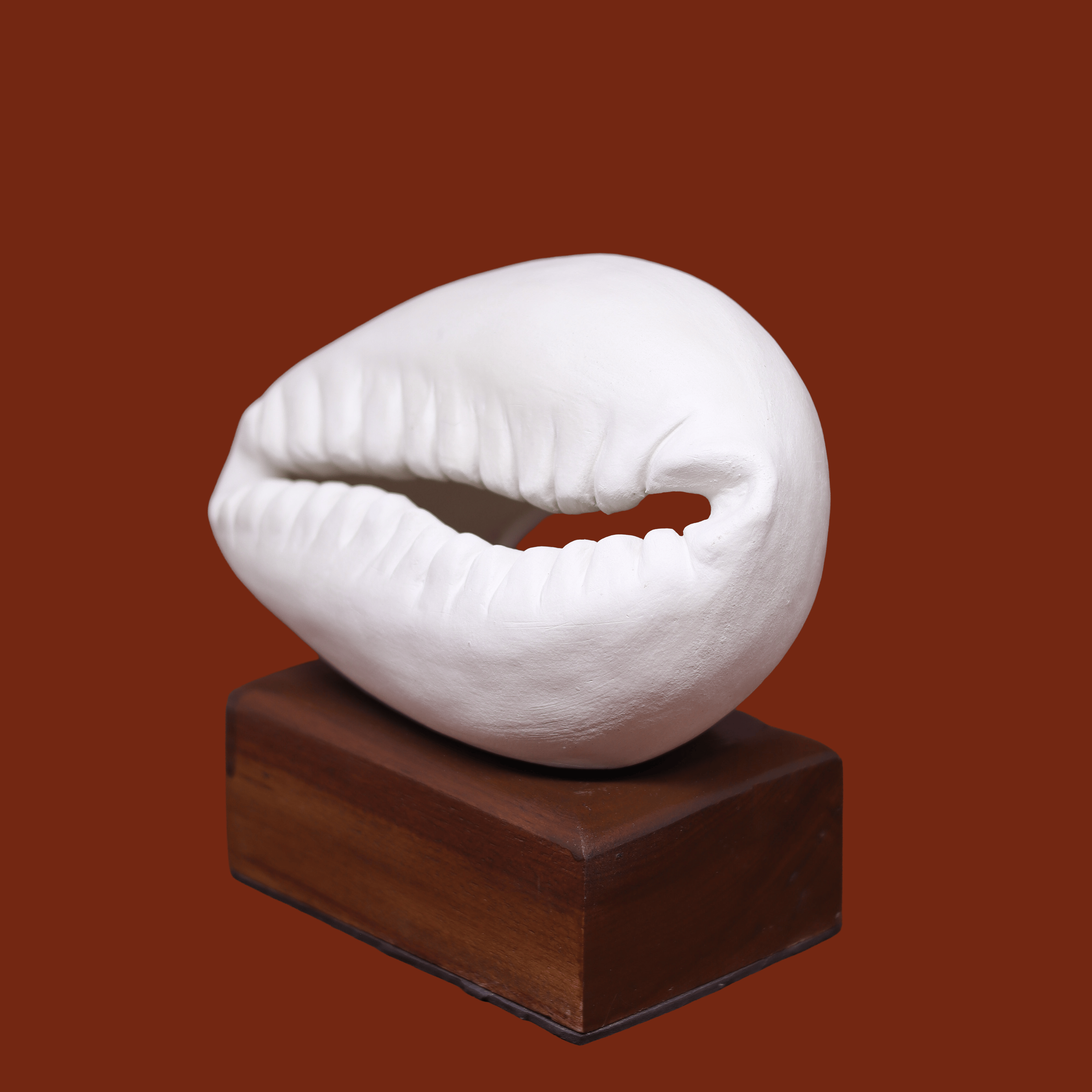 Escultura Búzio Deitado em Cerâmica