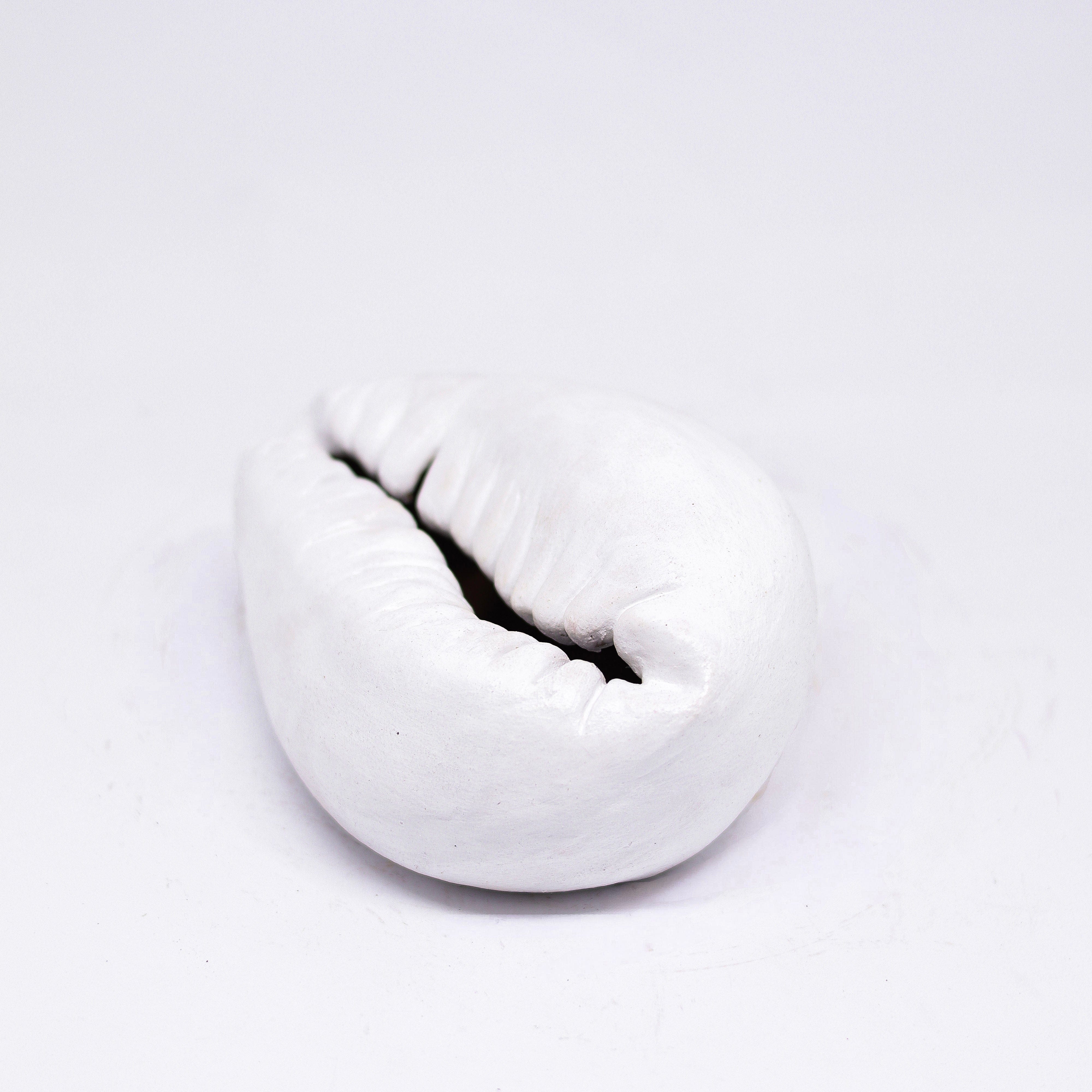 Escultura Búzio em Cerâmica