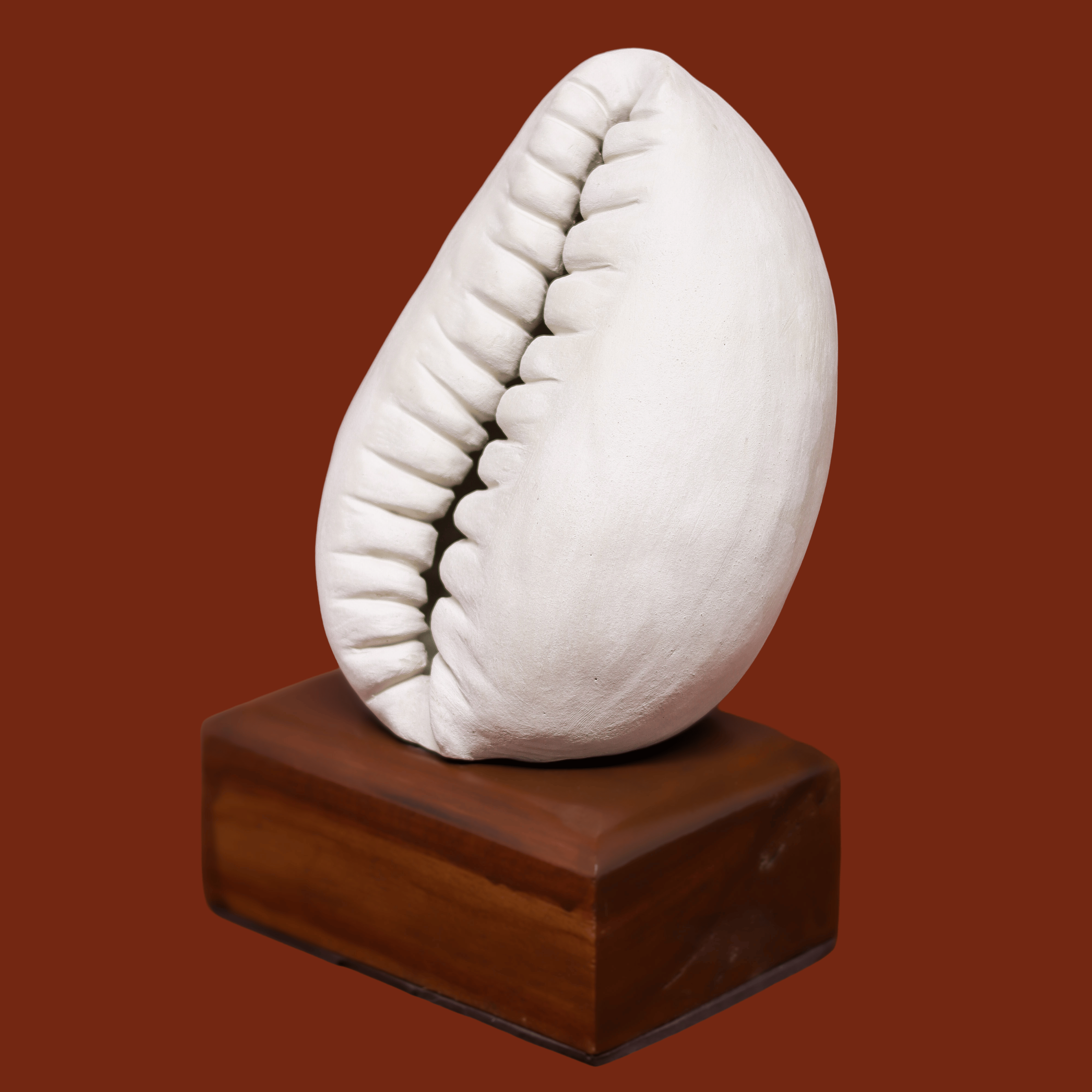 Escultura Búzio em Pé em Cerâmica