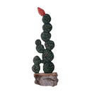 Escultura Cacto Talhado na Madeira 03