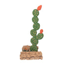 Escultura  Cacto Talhado na Madeira CMS