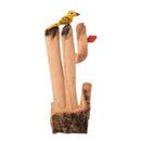 Escultura  Cacto Talhado na Madeira CMS