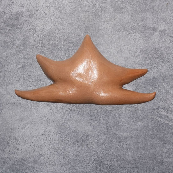 Escultura Estrela de Parede