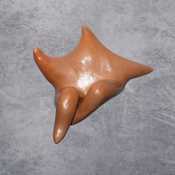Escultura Estrela de Parede