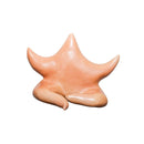 Escultura Estrela de Parede