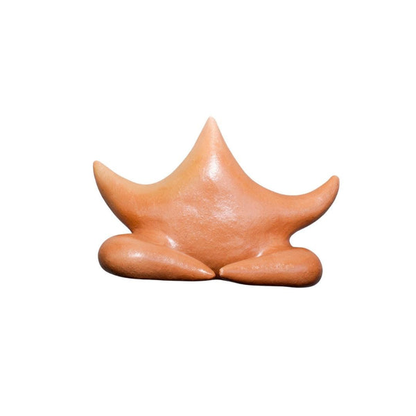 Escultura Estrela de Parede