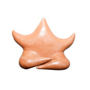 Escultura Estrela de Parede