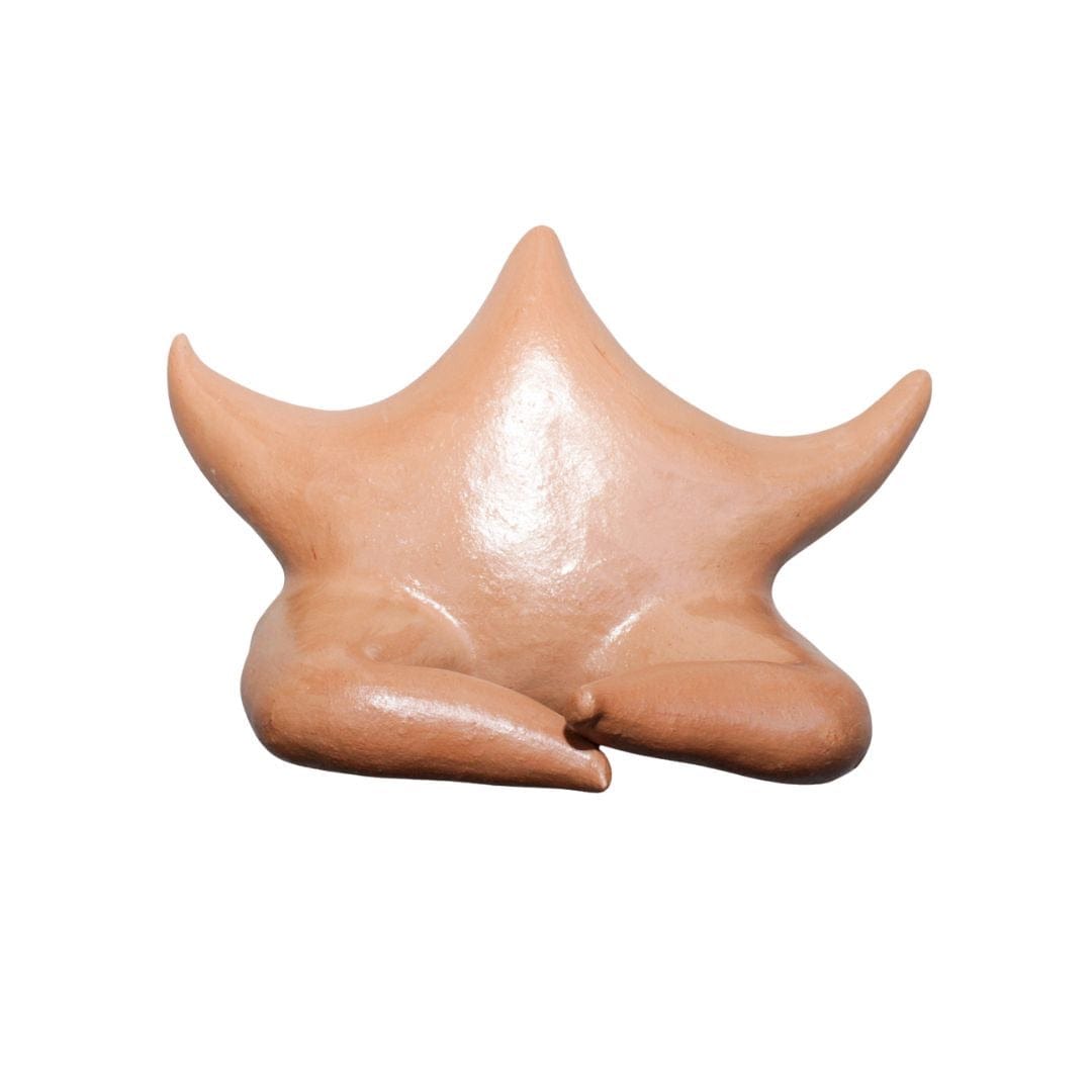 Escultura Estrela de Parede