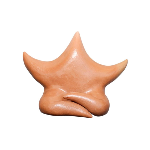 Escultura Estrela de Parede
