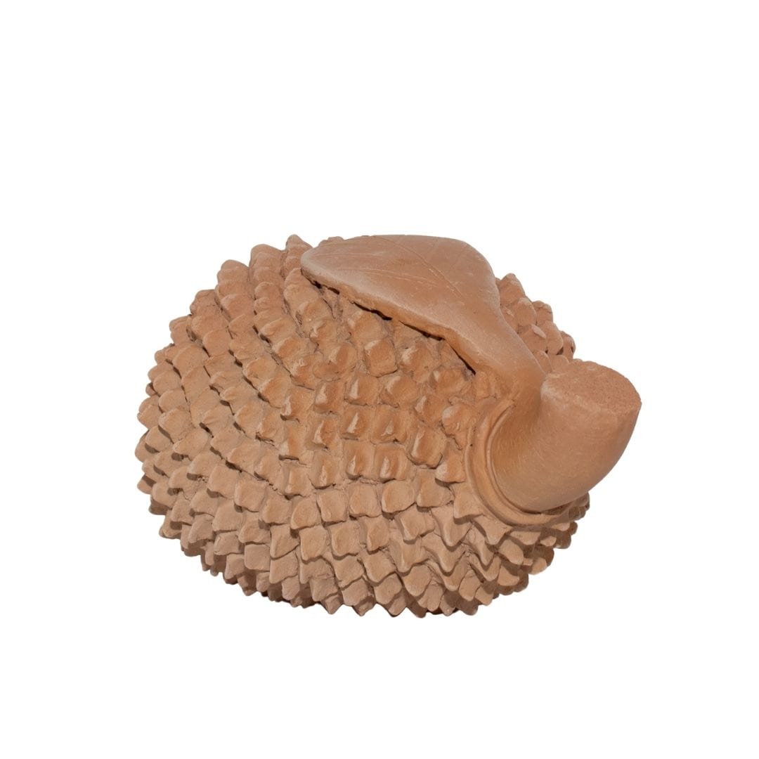 Escultura Jaca em Cerâmica