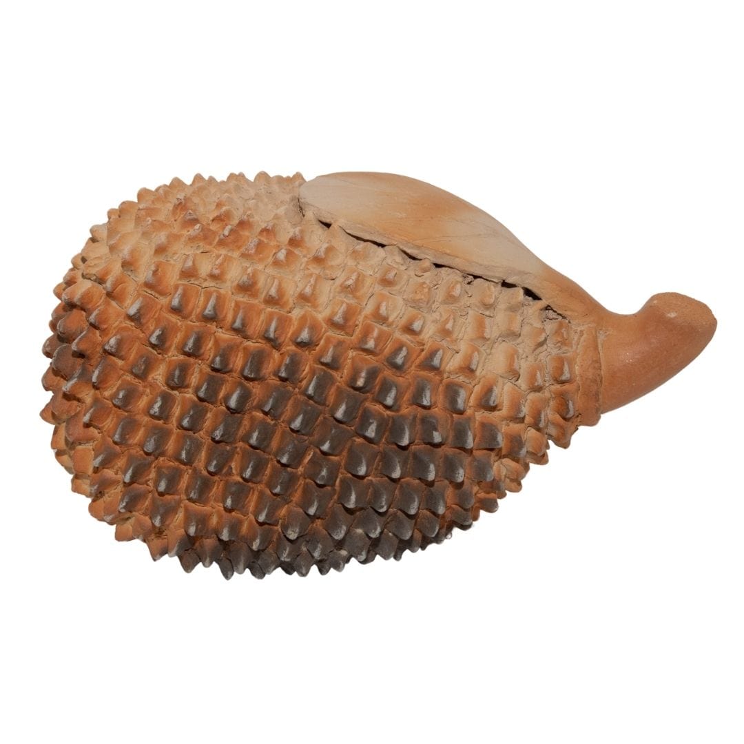 Escultura Jaca em Cerâmica