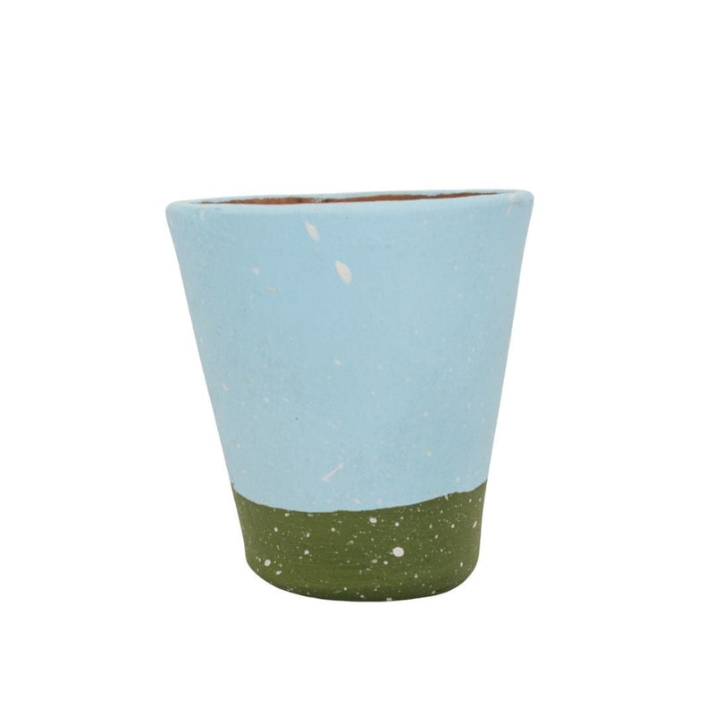 Moringa em Barro