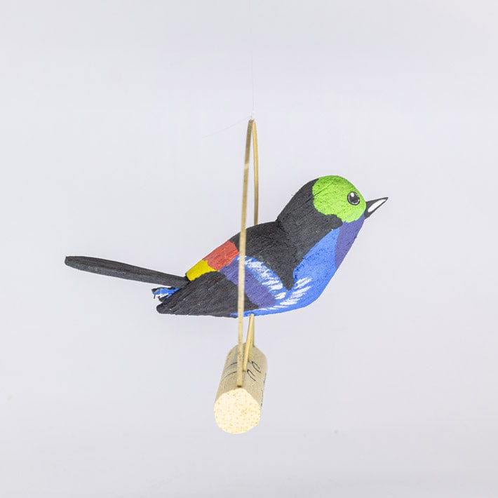 Passarinho Colorido Miriti - Saíra Sete Cores