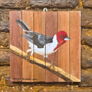 Quadro Decorativo Galo de campina 30 X 30 cm
