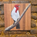 Quadro Decorativo Galo de campina 30 X 30 cm