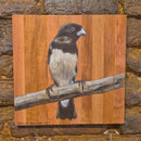 Quadro Decorativo Papa Capim 30 X 30 cm