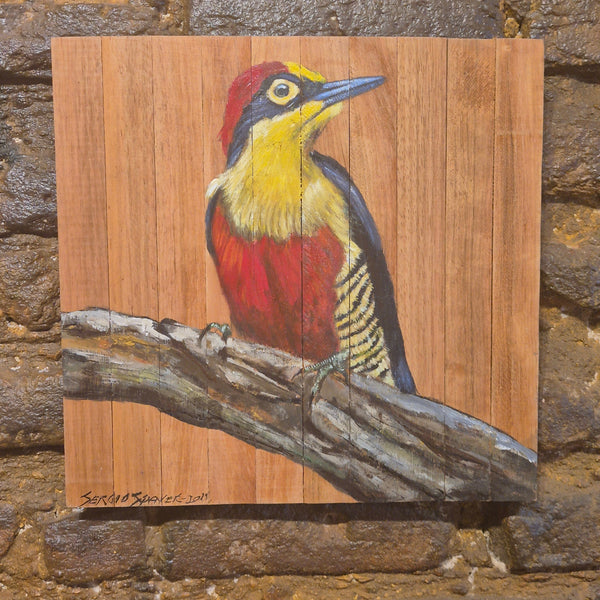 Quadro Decorativo Pássaro Benedito testa amarela  30 X 30 cm