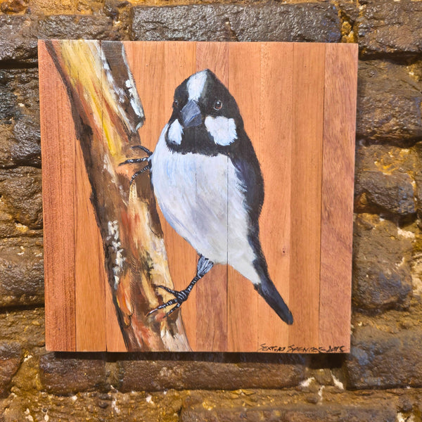 Quadro Decorativo Pássaro Bigodinho  30 X 30 cm