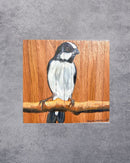 Quadro Decorativo Pássaro Bigodinho 30 X 30 cm
