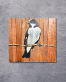 Quadro Decorativo Pássaro Bigodinho 30 X 30 cm