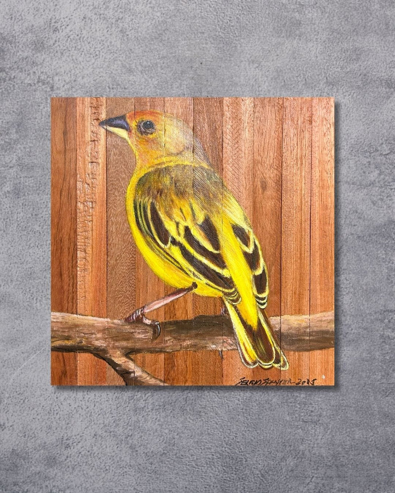 Quadro Decorativo Pássaro Canário da Terra 30 X 30 cm