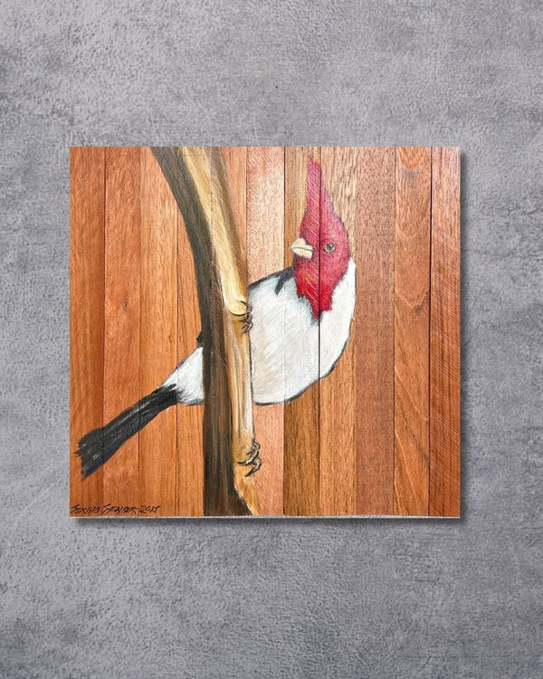 Quadro Decorativo Pássaro Cardeal 30 X 30 cm