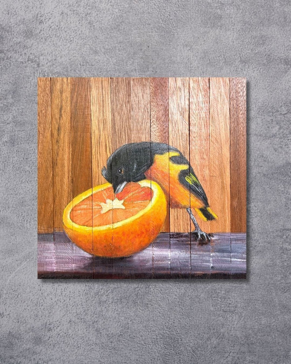 Quadro Decorativo Pássaro Concriz 30 X 30 cm